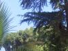 IMG 20111001 00322.jpg