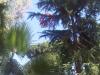 IMG 20111001 00323.jpg