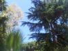 IMG 20111001 00324.jpg