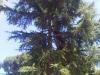 IMG 20111001 00325.jpg