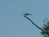 S8000073.JPG