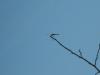 S8000074.JPG