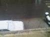 IMG 20120203 00439.jpg