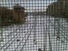 IMG 20120205 00443.jpg