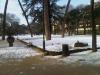 IMG 20120205 00445.jpg