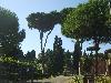 S8000110.JPG