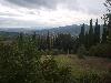 S8000116.JPG
