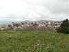 P4030058.JPG