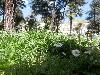 P4060078.JPG