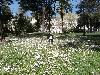 P4060080.JPG