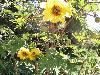 P5110191.JPG