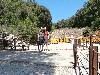 P6130380.JPG