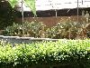P6110103.JPG