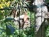 P6110201.JPG