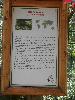 P6110340.JPG