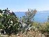 P6100057.JPG
