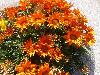 P6100067.JPG