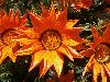 P6100068.JPG