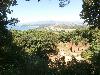 P6140426.JPG