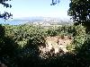 P6140427.JPG