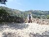 P7130085.JPG