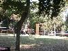 P7140155.JPG