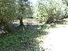 P7270200.JPG