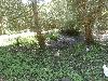 P7270201.JPG