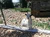 P7270210.JPG