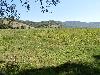 P7270231.JPG