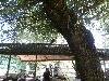 P7270265.JPG