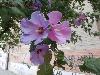 P9150009.JPG