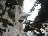 P9150015.JPG