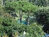 DSC00083 r.JPG