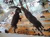DSC00021 r.JPG