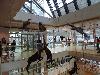 DSC00023 r.JPG