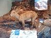 DSC00024 r.JPG