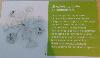 DSC00049 r.JPG