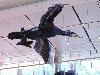 DSC00052 r.JPG
