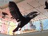 DSC00053 r.JPG
