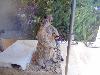 DSC00064 r.JPG