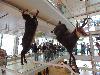 DSC00072 r.JPG