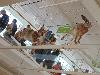 DSC00075 r.JPG