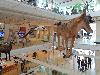 DSC00076 r.JPG
