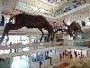 DSC00104 r.JPG