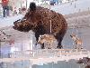 DSC00105 r.JPG