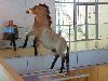 DSC00112 r.JPG