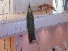 DSC00113 r.JPG