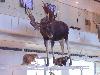 DSC00114 r.JPG