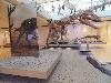 DSC00126 r.JPG